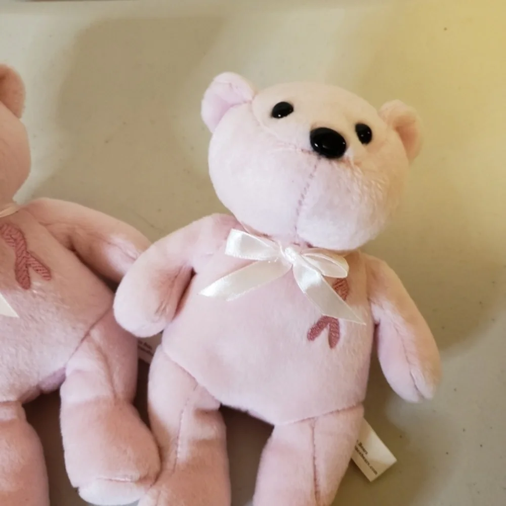 Bundle‎ of Two Breast Cancer Bears